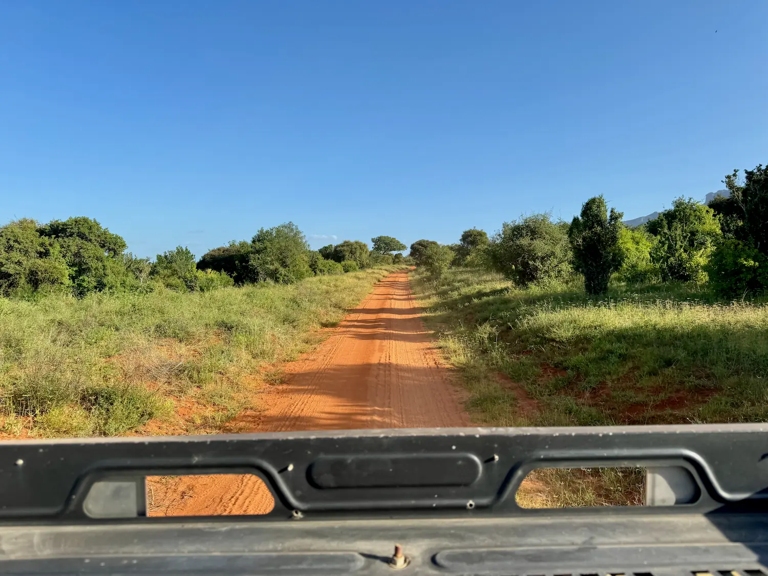 Rally Safari Kenia - 13