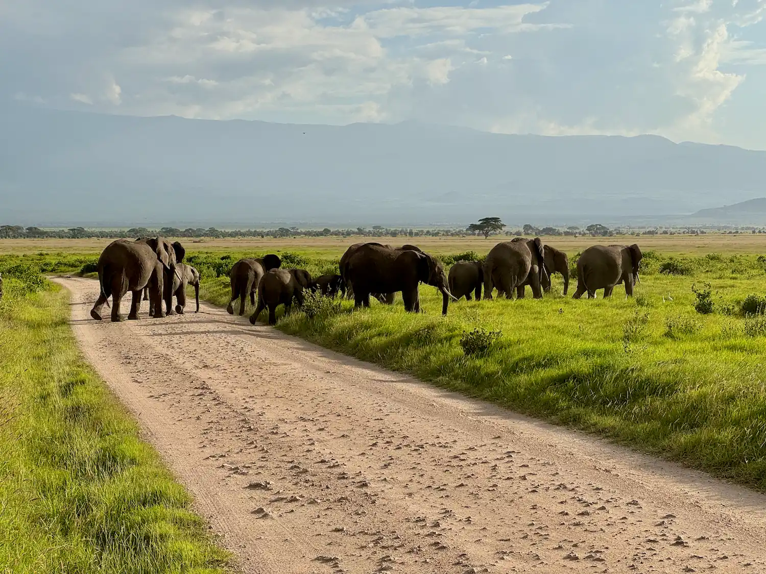 Rally Safari Kenia - 4