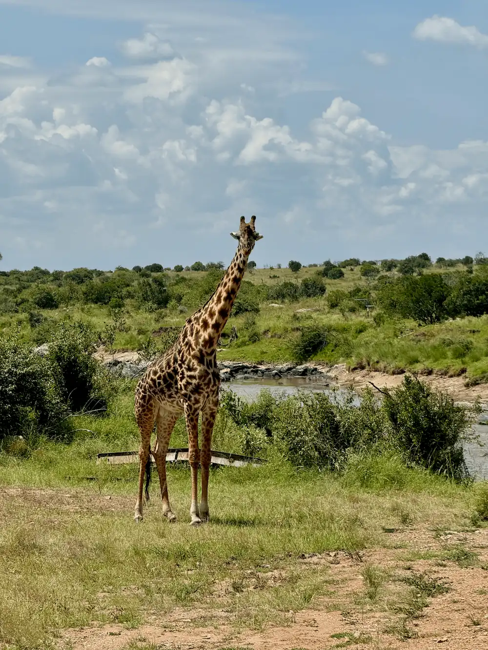 Rally Safari Kenia - 34