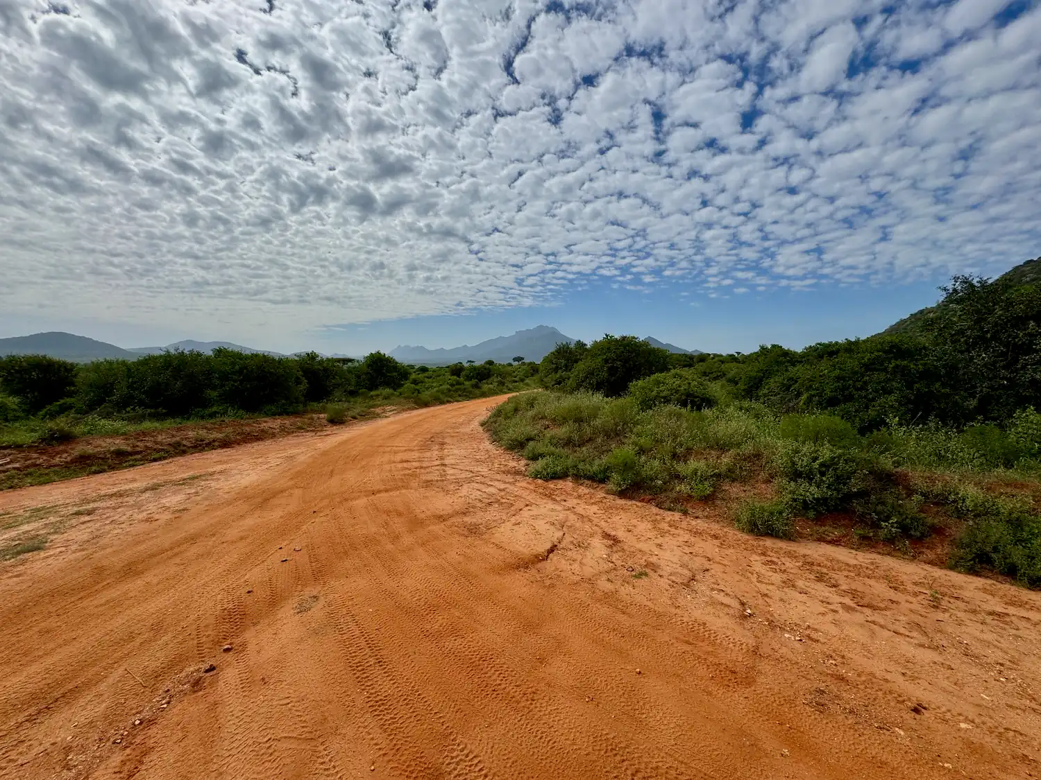 Rally Safari Kenia - 1