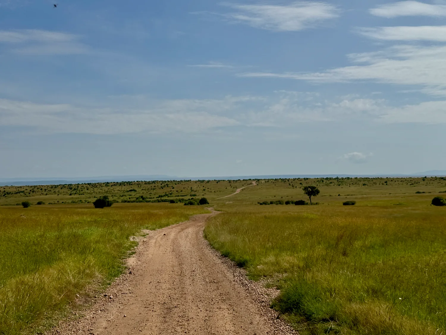 Rally Safari Kenia - 8