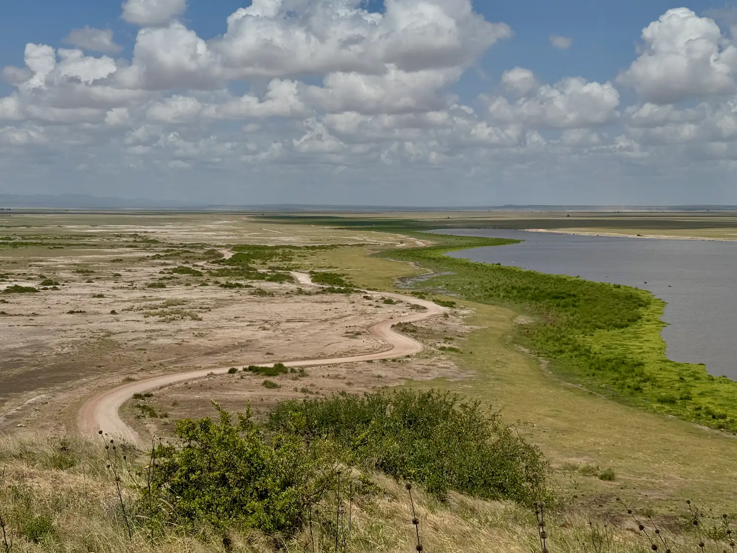 Rally Safari Kenia - 27