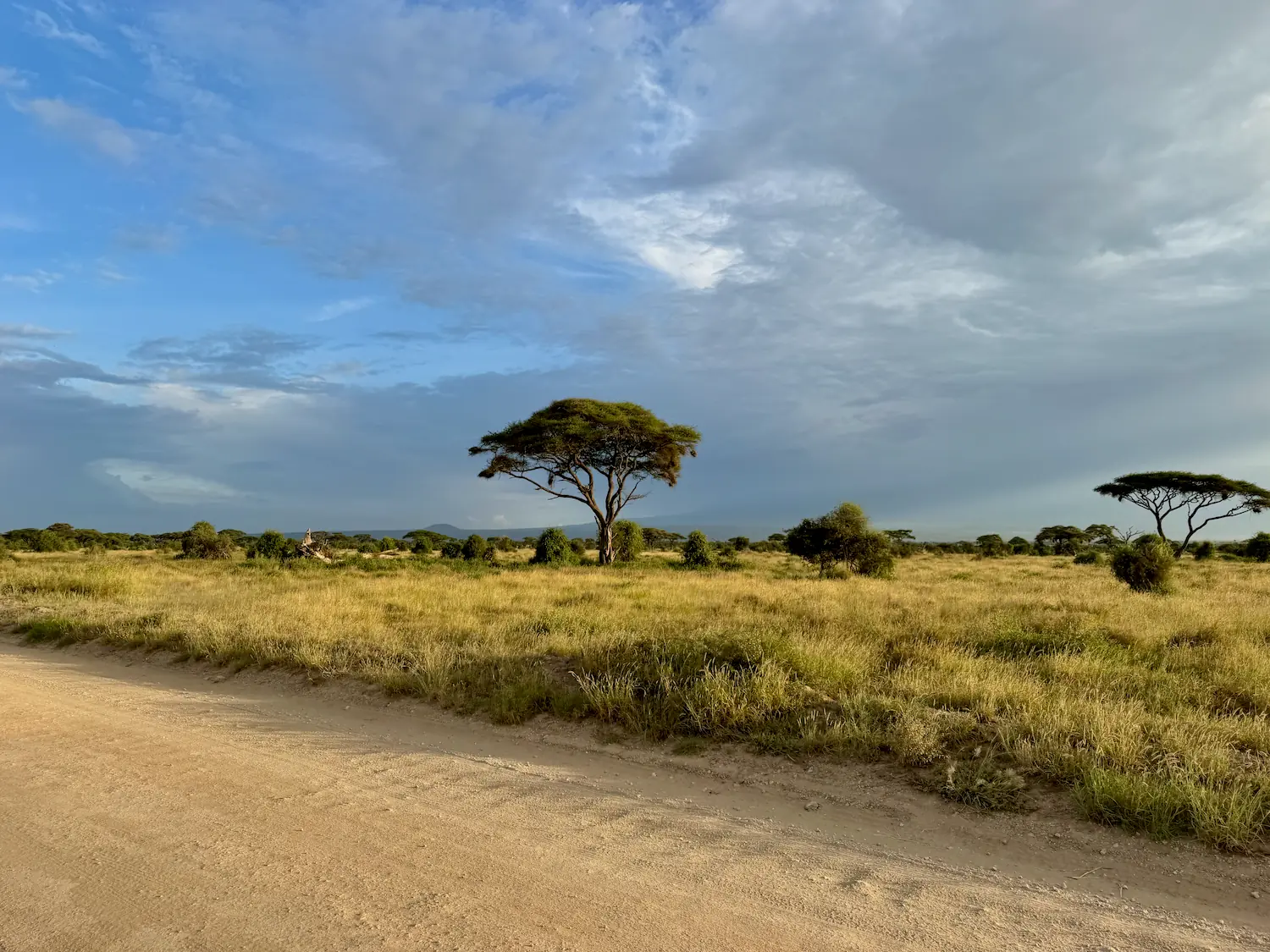 Rally Safari Kenia - 7
