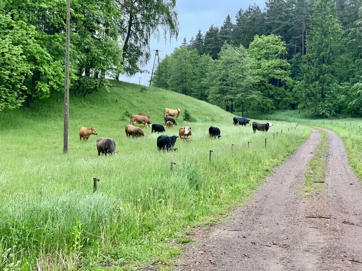 Rallye Ostsee 13.-20.06.2025 - 5