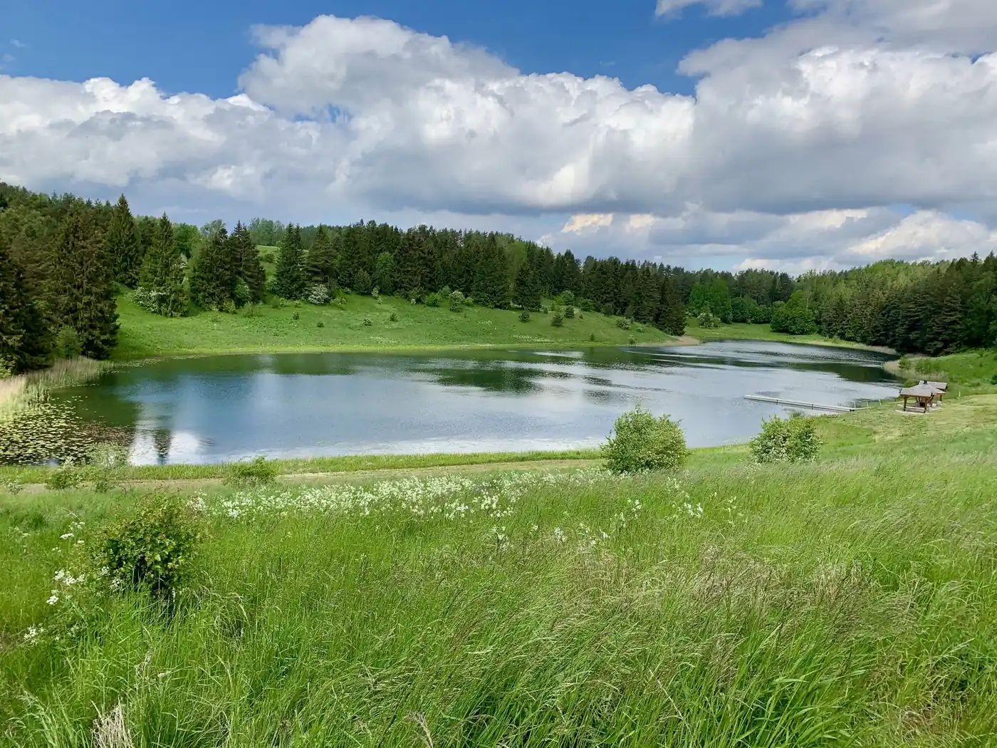Rally Baltic 13.-20.06.2025 - 7