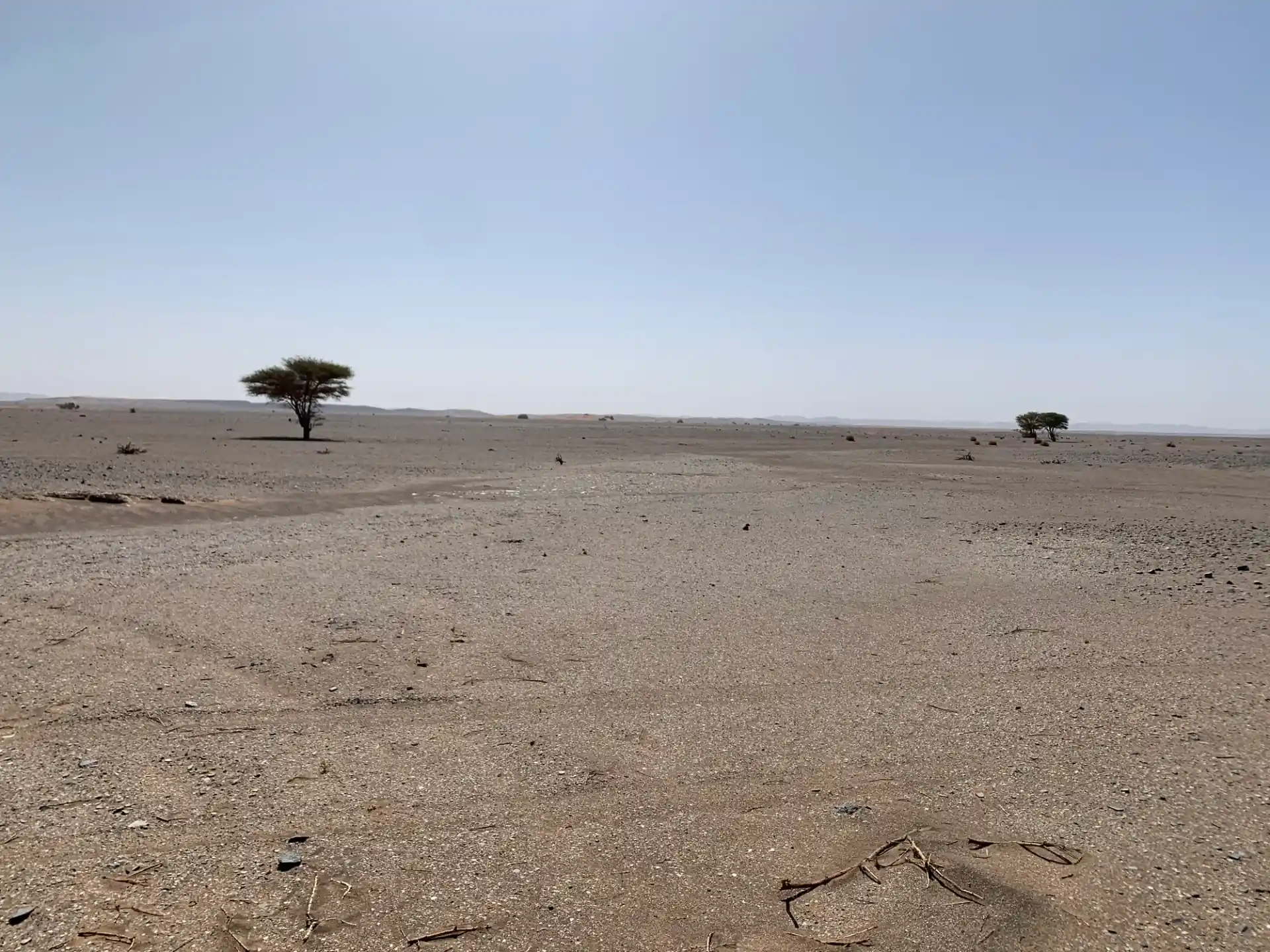 SAHARA ZACHODNIA - 6