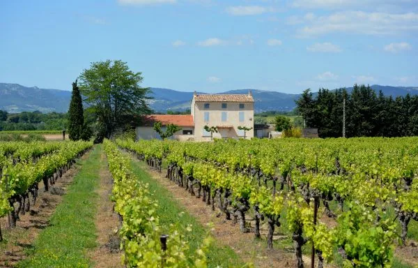 Rally   Saint Tropez - Lyon - 10
